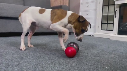 PawPeak Treat Trek Enrichment Toy